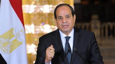 السيسي عن الأزمة الاقتصاد.. يعيشها العالم أجمع