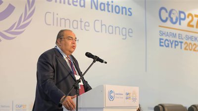 محي الدين: ضرورة تمويل إجراءات التخفيف والتكيف بشكل متساوي