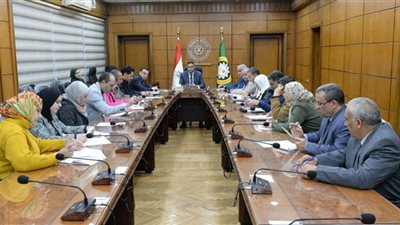 الدقهلية تستعرض التعديلات الجديدة لبنود لائحة الإعلانات