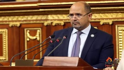 رئيس طاقة النواب: الشرطة المصرية ستظل صمام أمان واستقرار الوطن