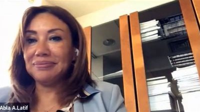 خبراء يطلبون وضع استراتيجية وطنية للاستفادة من أسواق الكربون