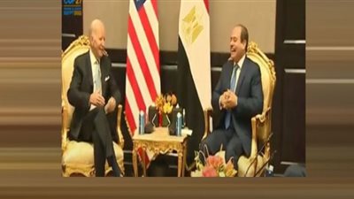 مصر تلعب دورًا أساسيًا في مواجهة التحديات العالمية