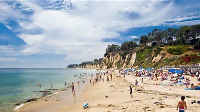 تأكل اللحم .. مخلوقات ترعب رواد شاطئ