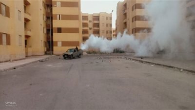 استمرار أعمال النظافة و الإنارة العامة و مكافحة الحشرات بالإسماعيلية