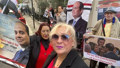 اتحاد المصريين ببريطانيا: تكاتف أبناء مصر بالخارج دليل على رفض مخططات تخريب مصر