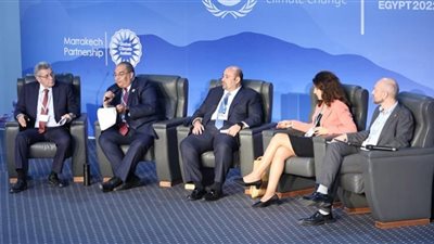 مفاوضات مع المنظمات الدولية لتعميم المشروعات الخضراء المصرية