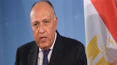 وزير الخارجية يعلن تدشين مركز إفريقيا لمواجهة التغير المناخي