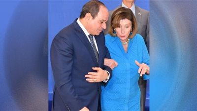 صورة الرئيس السيسي مع بيلوسي أحرقت صدور الإخوان