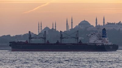 اجتماع روسي أممي لمناقشة صفقة الحبوب في البحر الأسود