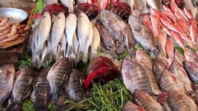 البلطي بكام.. أسعار الأسماك في الأسواق المصرية