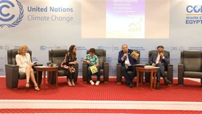 محيي الدين: الفصل بين العمل المناخي وأهداف التنمية المستدامة أمر مضلل