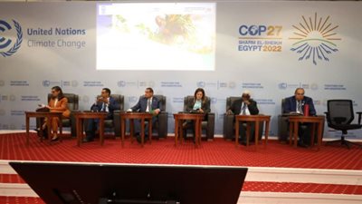مقترح لإنشاء مركز في مصر لإدارة التكيف المناخي محلياً وإقليمياً