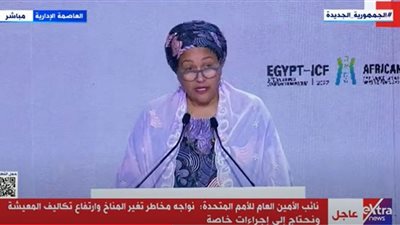 الأمم المتحدة تشيد بإطلاق مصر المنصة الوطنية للمشروعات الخضراء 