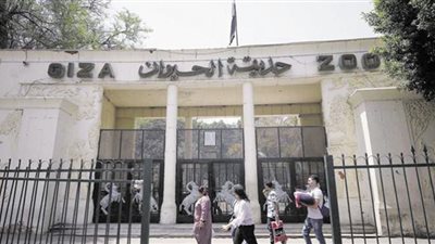 حديقتا الحيوان والأورمان.. لا صوت يعلو على التطوير