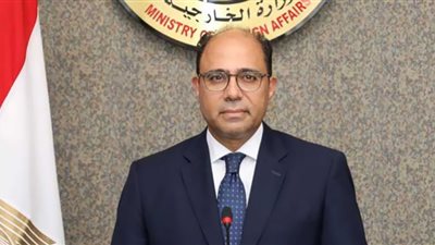 الخارجية تكشف سر انسحاب وفد مصر من اجتماع الجامعة العربية (فيديو)