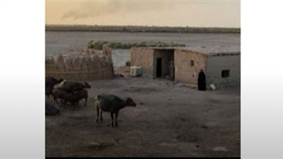 منازل تتحول إلى أطلال بسبب الجفاف (شاهد)