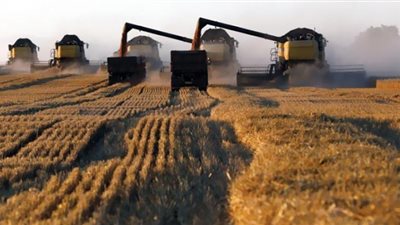 روسيا تنفي اتخاذ قرار حول تمديد صفقة تصدير الحبوب