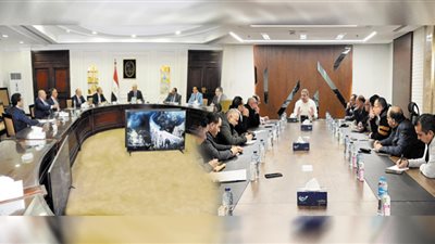 شركات العقار تستغيث بالحكومة