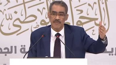 ضياء رشوان: الأصل في الحوار الوطني هي العلانية (فيديو)