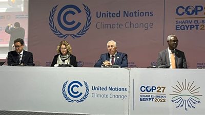 وزير الزراعة: المنطقة العربية والأفريقية تحتاج للتوسع في إنتاج الغذاء