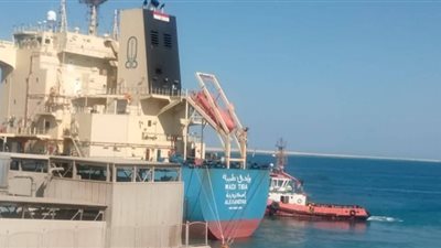 ميناء سفاجا يستقبل 63 ألف طن قمح رومانى و11 ألف طن كبريت