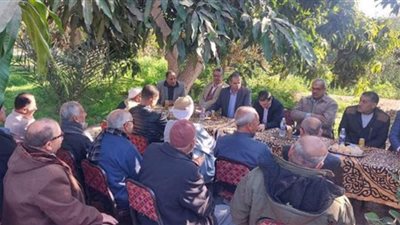 «العفن الهبابي وذبابة الفاكهة».. ندوة إرشادية لزراعة الشرقية