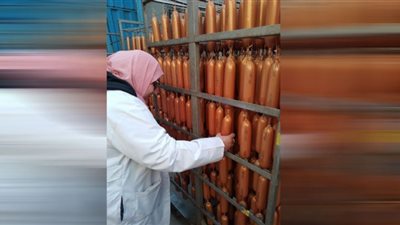 ضبط 10 أطنان لحوم ودواجن فاسدة بالشرقية