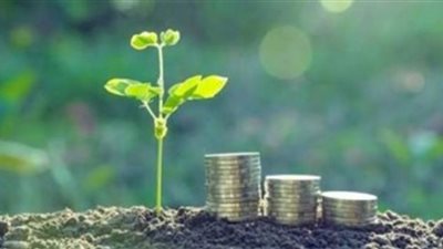 وصلت لـ 40% | الاستثمارات الخضراء برؤية مصرية لمواجهة تحديات المناخ