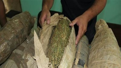 57 كيلو بانجو حصيلة المداهمات على مروجي السموم