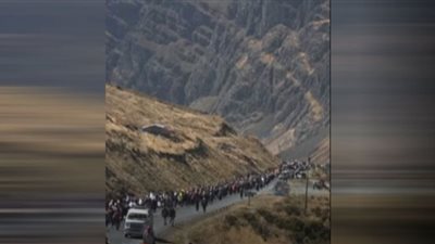 تظاهر الآلاف من مزارعي الكوكايين في بوليفيا.. شاهد
