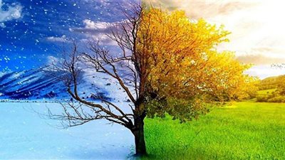 أسباب تصدر 