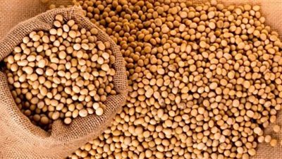 تناول الصويا يوقف إنتاج الكوليسترول المسبب لتصلب الشرايين.. دراسة توضح