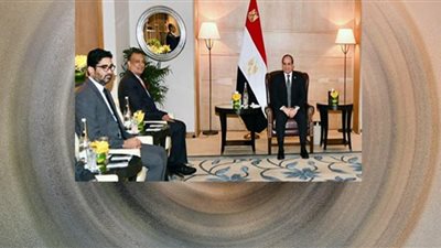 السيسى يبحث مع «رينيو باور» الهندية التعاون فى مشروعات الطاقة النظيفة