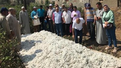 وكيل زراعة الغربية يستقبل وفد أجنبى لتبادل خبرات زراعة القطن