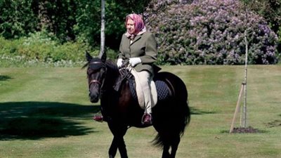 30 حصانًا تبكي الملكة إليزابيث.. الخيل تُطلق صهيل الوداع