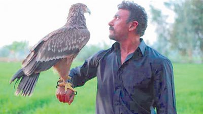 نجوم داخل الاستديوهات استعداداً لاستقبال رمضان