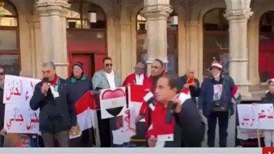 المصريون بالنمسا ينظمون وقفة تأييد للدولة والرئيس السيسي (فيديو)
