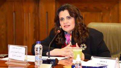 الهجرة: إعداد تطبيق إلكتروني للتواصل مع المصريين بالخارج