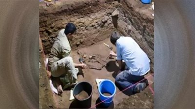 اكتشاف أقدم عملية بتر ناجحة منذ 31 ألف عام