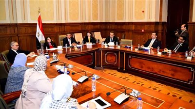 نقاش موسع للهجرة وخارجية الشيوخ حول ملف المصريين بالخارج