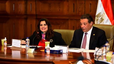 مقترح لنواب الشيوخ بوجود ممثلين للهجرة بسفارات مصر في الخارج