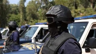 ضبط 5.75 طن أسماك مجمدة داخل ثلاجة بالقليوبية