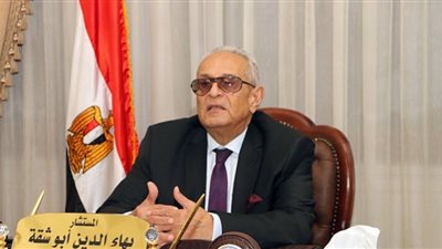 بهاء أبوشقة: تعديل قانون السلك الدبلوماسي يفتح باب الندب بين الوزارات
