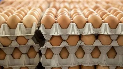 أسعار البيض اليوم الإثنين