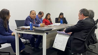 وزير المالية: تشجيع القطاعين الخاص المحلي والأجنبي للتوسع في الاستثمارات الخضراء