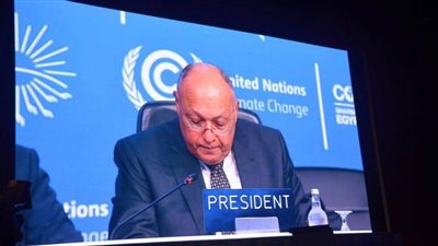 وزير الخارجية يستعرض رؤية مصر لمفاوضات مسارات المناخ