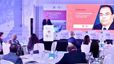 الرئاسة المصرية تؤكد أهمية حشد التمويل لمشروعات المناخ