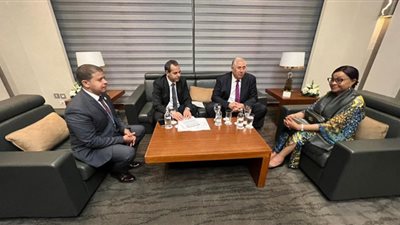 وزير الزراعة يبحث سبل التنمية بالقارة السمراء