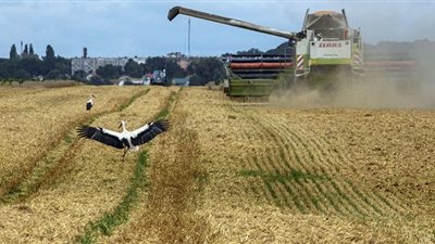 روسيا: المفاوضات مع الأمم المتحدة حول اتفاقية الحبوب بناءة للغاية