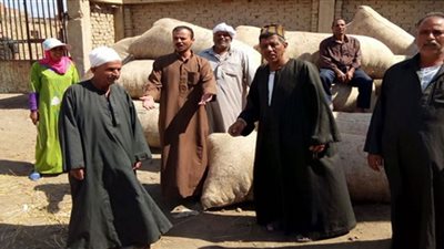 محافظ كفر الشيخ يهنئ المزارعين يعيد الفلاح المصري الـ70